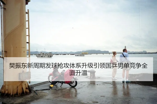 樊振东新周期发球抢攻体系升级引领国乒男单竞争全面升温